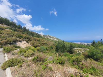 GİRNE/ÇATALKÖY CHAMADA OTEL BÖLGESİ SATILIK TÜRKMALI ARSALAR-4