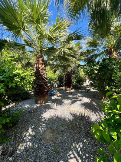 GİRNE/ALSANCAK'TA SATILIK 4+2 VİLLA-15