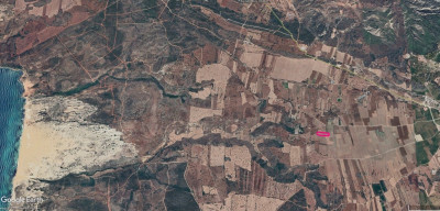 GİRNE/KORUÇAM'DA SATILIK TARIMSAL ARAZİ