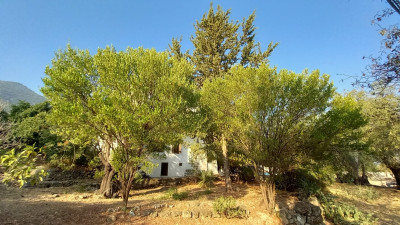 GİRNE/LAPTA'DA %90 KULLANIMLI 2000 M2 ARSA-4