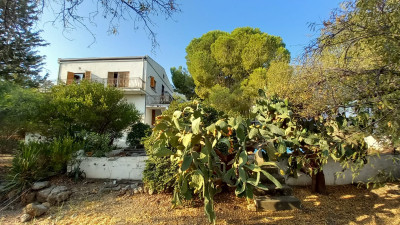 GİRNE/LAPTA'DA %90 KULLANIMLI 2000 M2 ARSA-3