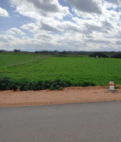 GİRNE/TEPEBAŞI'NDA SATILIK TARLA-2